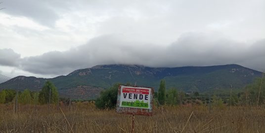 SOLAR EN CORTIJOS NUEVOS